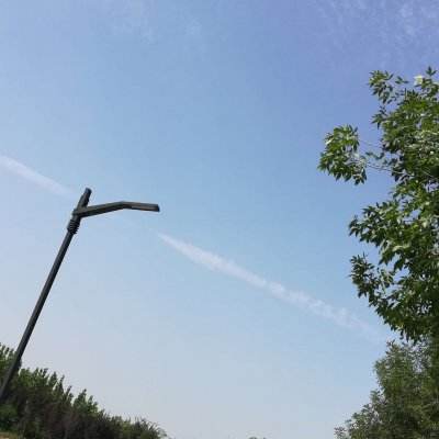 精灵世界ol手机版下载